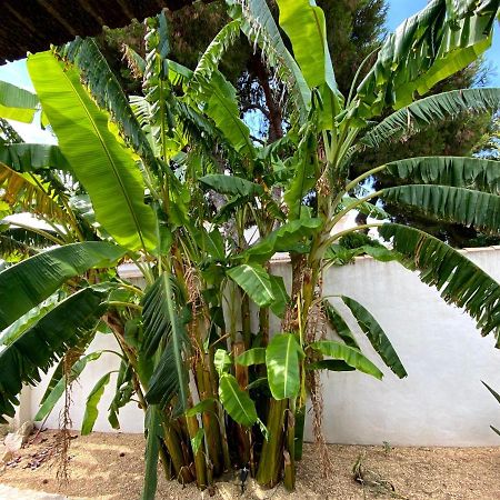 Beach Apartment, Playa Muchavista 900M, Chalet Tranquilo, Villa Acuario San Juan  Buitenkant foto