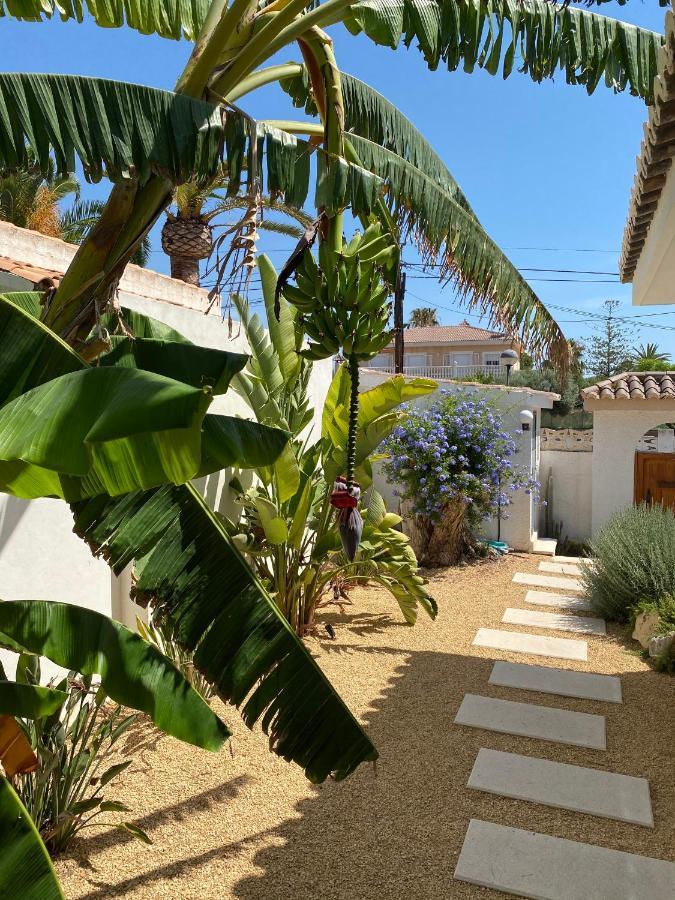 Beach Apartment, Playa Muchavista 900M, Chalet Tranquilo, Villa Acuario San Juan  Buitenkant foto